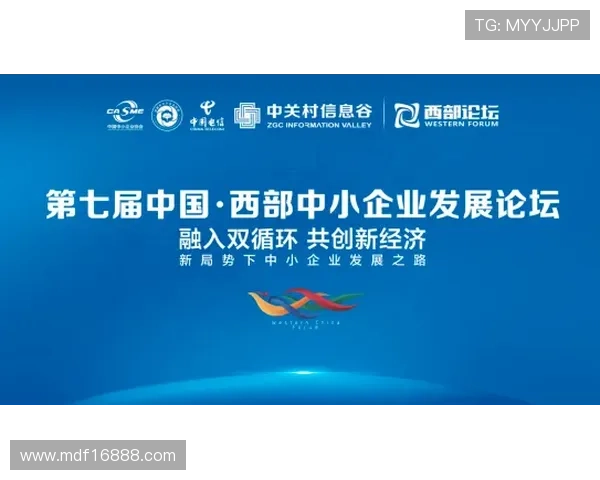 聚焦山西企业家发展历程与创新力量深度探源区域经济未来新趋势的